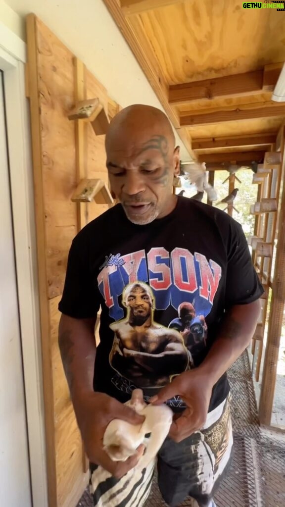 Mike Tyson Instagram - “Go Brr! More styles from my collection just dropped at all @Zumiez locations 🥊”