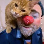 Mikhail Kukota Instagram - Добра и кисок вам в ленту❤️❤️❤️ P.s И весны!☀️ #кукота #кот #добро #весна #юмор Москва • Moscow