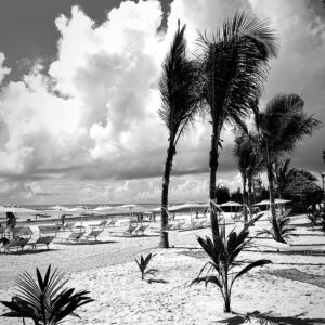 Milan Zimnýkoval Instagram - Zanzibar B&W still cool 🇹🇿🌴☀️

#zanzibar #zanzibarbeach #zanzibarisland #africa #tanzania