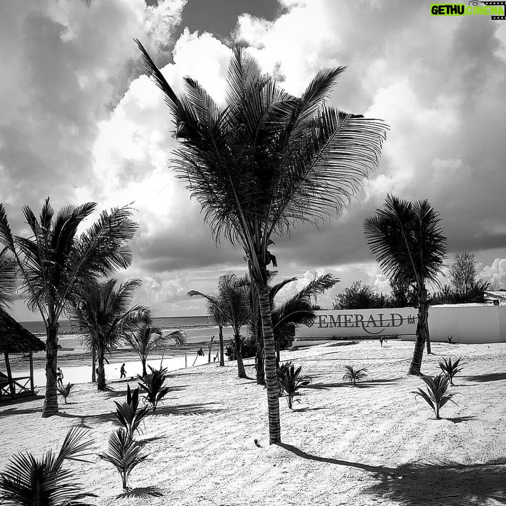 Milan Zimnýkoval Instagram - Zanzibar B&W still cool 🇹🇿🌴☀️ #zanzibar #zanzibarbeach #zanzibarisland #africa #tanzania Emerald Zanzibar Resort & Spa