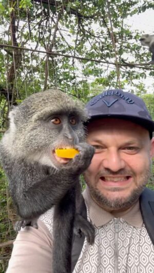 Milan Zimnýkoval Instagram - Zanzibarská Zoo, keď nevydá čas na safari #zoo #zanzibar