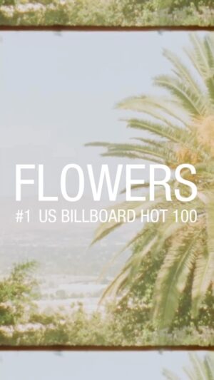 Miley Cyrus Instagram - Thankful that Flowers is Number 1 around the world. This song is dedicated to my fans & the steadfast self love I wish for each of you. Forever grateful, Miley