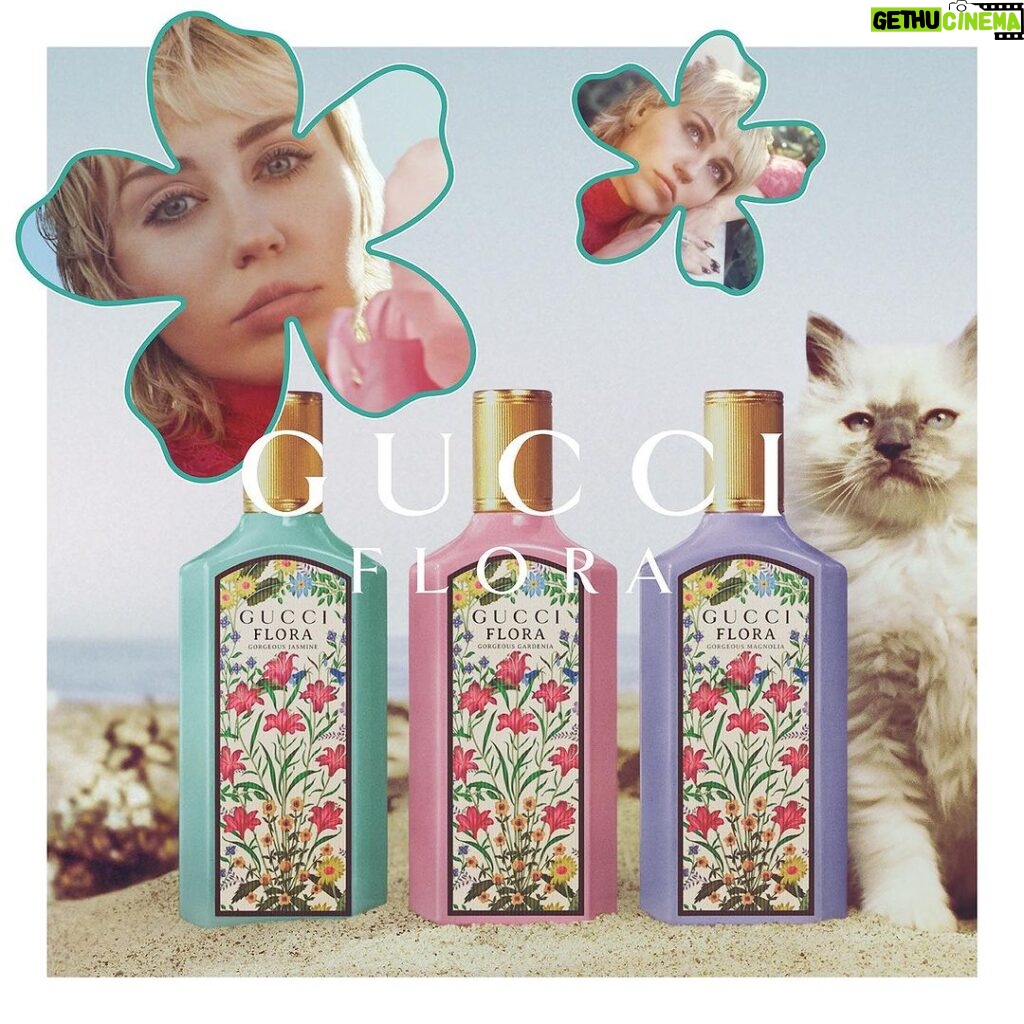 Miley Cyrus Instagram - Set your #FloraFantasy free with the new Gucci Flora Gorgeous Magnolia Eau de Parfum @guccibeauty #GucciBeauty #GucciFlora