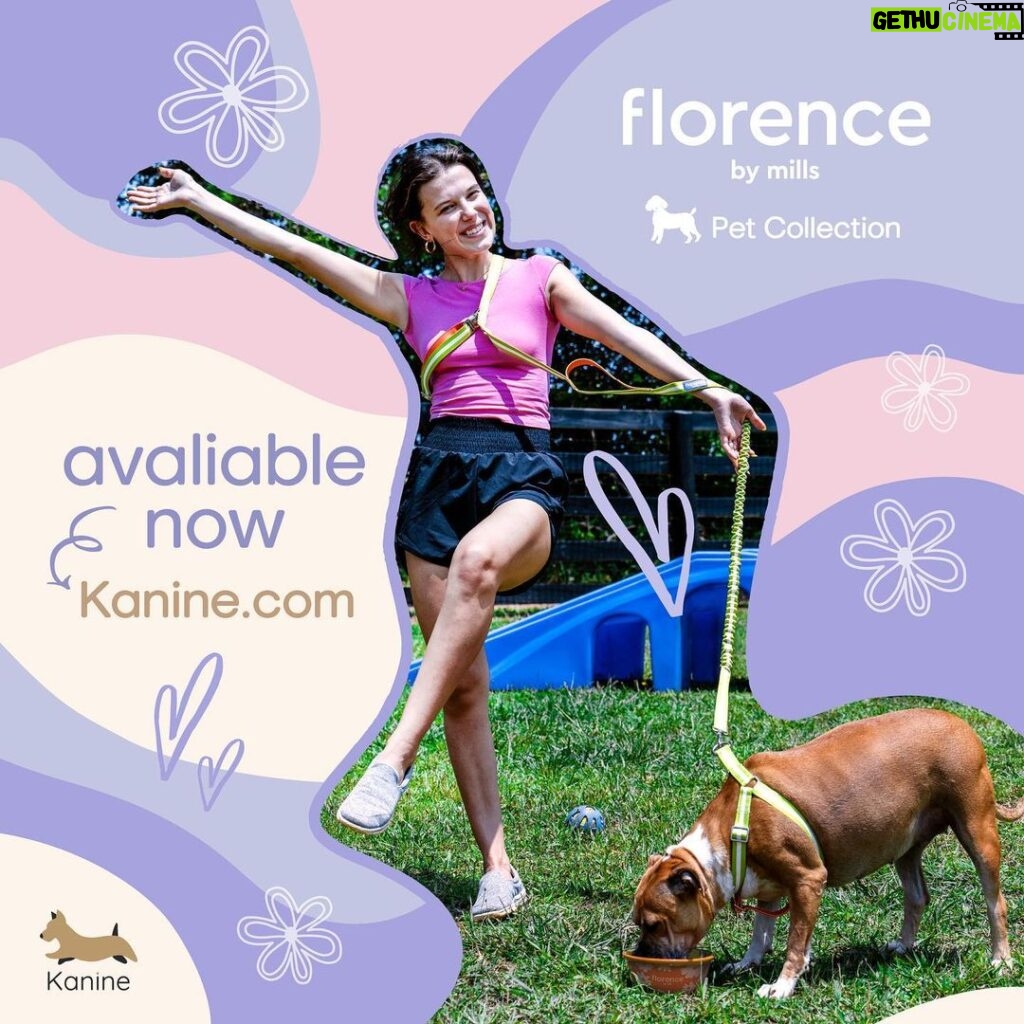 Millie Bobby Brown Instagram - Our florence by mills pet collection is available NOW and exclusively on Kanine.com. We can't wait to see our four-legged florence fam wearing the new collection!💜 @milliebobbybrown #milliebobbybrown #kaninegeneration #florencebymills