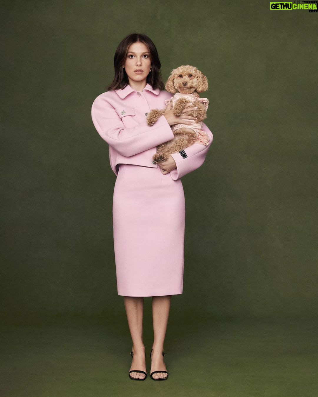 Millie Bobby Brown Instagram - Thank you @wwd for helping us announce the latest evolution of @florencebymills – WILDLY ME! Photographer: Katie McCurdy (@katiemccurdy_) Stylist: Alex Badia (@thealexbadia) Writer: Leigh Nordstrom (@leighnordstrom) Hair: Jacob Rozenberg (@jacobrozenberg) Makeup: Samantha Lau (@samanthalmua)