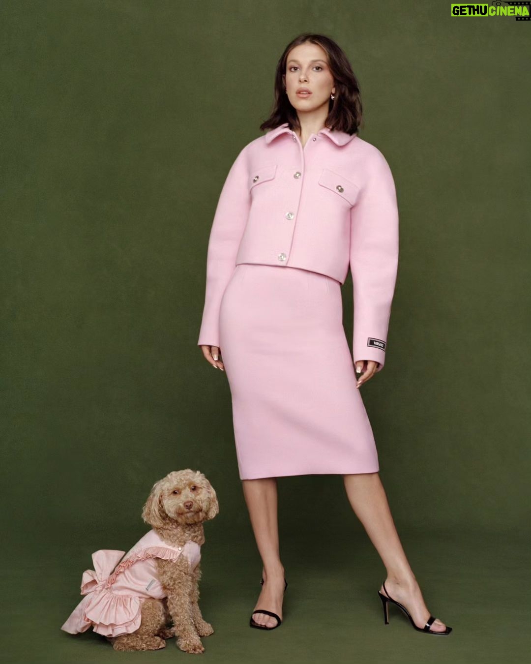 Millie Bobby Brown Instagram - Thank you @wwd for helping us announce the latest evolution of @florencebymills – WILDLY ME! Photographer: Katie McCurdy (@katiemccurdy_) Stylist: Alex Badia (@thealexbadia) Writer: Leigh Nordstrom (@leighnordstrom) Hair: Jacob Rozenberg (@jacobrozenberg) Makeup: Samantha Lau (@samanthalmua)