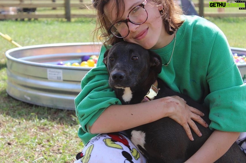 Millie Bobby Brown Instagram - This is Cindy and Sandy! The cutest girls ever 🥹They all have so much love in their heart, they just need a permanent home! It only takes one home to change their life. Inquire now at joeysfriends.com and check out our Instagram @joeysfriends22