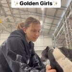 Millie Bobby Brown Instagram – Meet the ✨Golden Girls✨ 

Inquire to adopt one of these sweet old ladies!