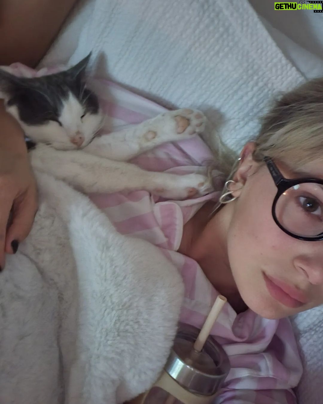 Millie Bobby Brown Instagram - karma is a cat, purring on my lap cause it luvs me