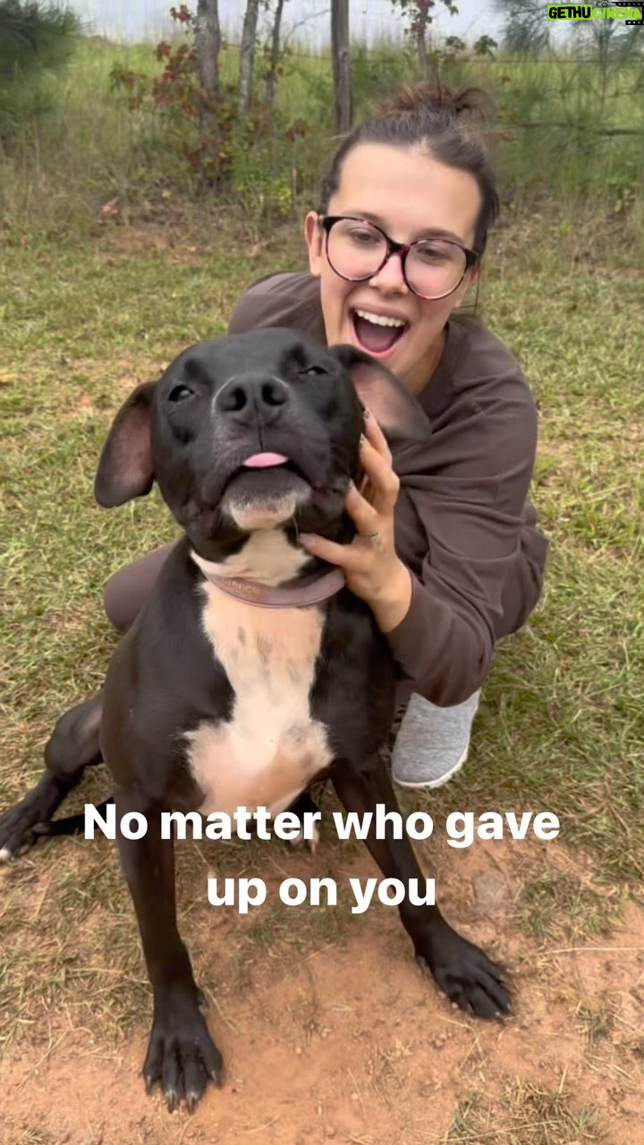 Millie Bobby Brown Instagram - I’ve had rose for nearly a year. This girl really smiles and makes my heart so happy. To inquire about Rose, check out @joeysfriends22 website. Hopefully this makes you smile! ❤️