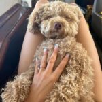 Millie Bobby Brown Instagram - Happy third birthday best friend. I love you endlessly. You’ll never know what you have done for my soul 🐶