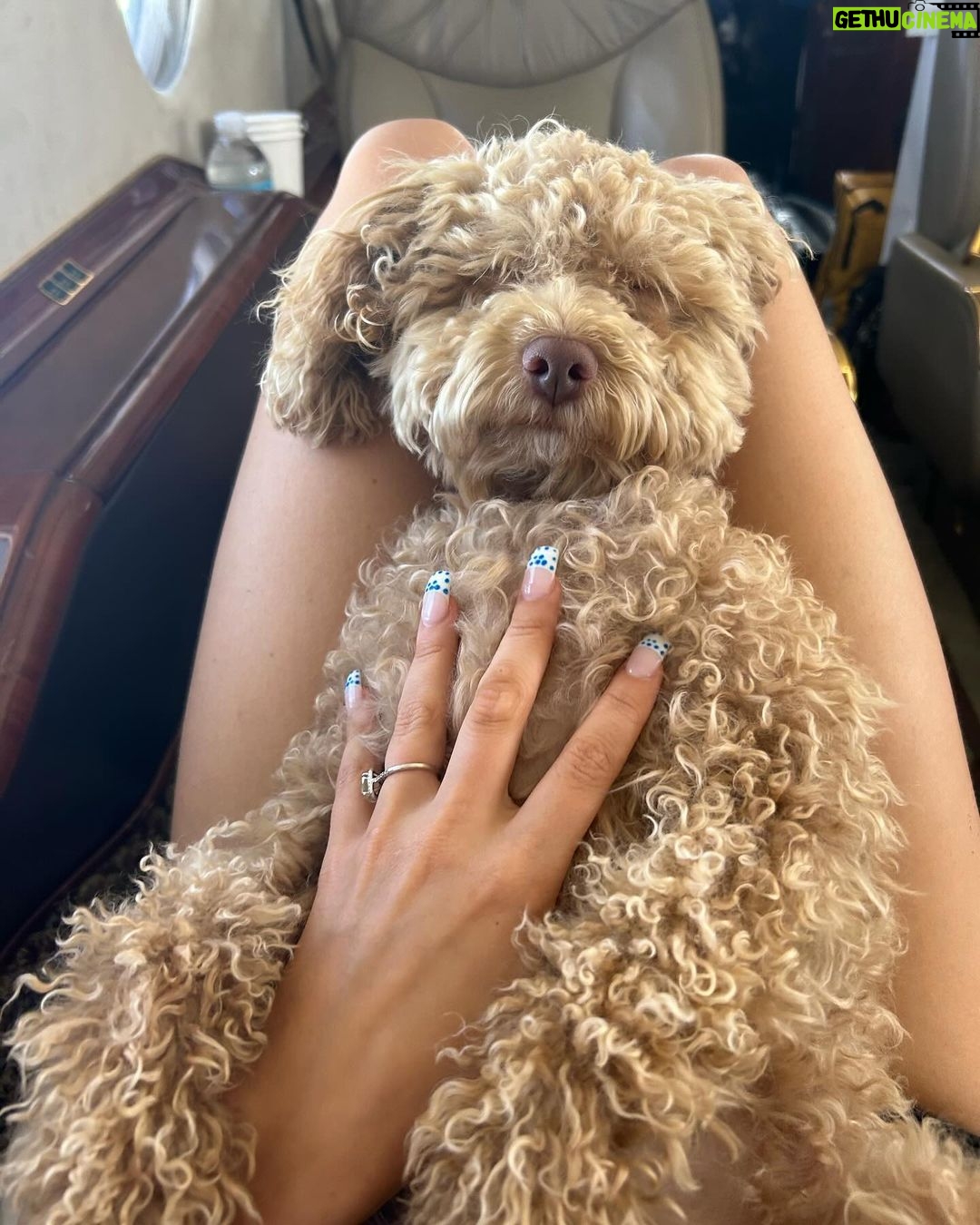 Millie Bobby Brown Instagram - Happy third birthday best friend. I love you endlessly. You’ll never know what you have done for my soul 🐶