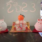 Miori Ohkubo Instagram - 2023/ Happy new year🎉 #BNK48 #MioriBNK48 #大久保美織 #Miichan