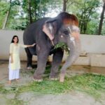 Mirnalini Ravi Instagram – Wholesome start to 2024 🤍 🐘🐄
#grateful Sripuram Sri Lakshmi Narayani Golden Temple Vellore