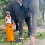 Mirnalini Ravi Instagram - Wholesome start to 2024 🤍 🐘🐄 #grateful Sripuram Sri Lakshmi Narayani Golden Temple Vellore