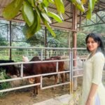 Mirnalini Ravi Instagram - Wholesome start to 2024 🤍 🐘🐄 #grateful Sripuram Sri Lakshmi Narayani Golden Temple Vellore