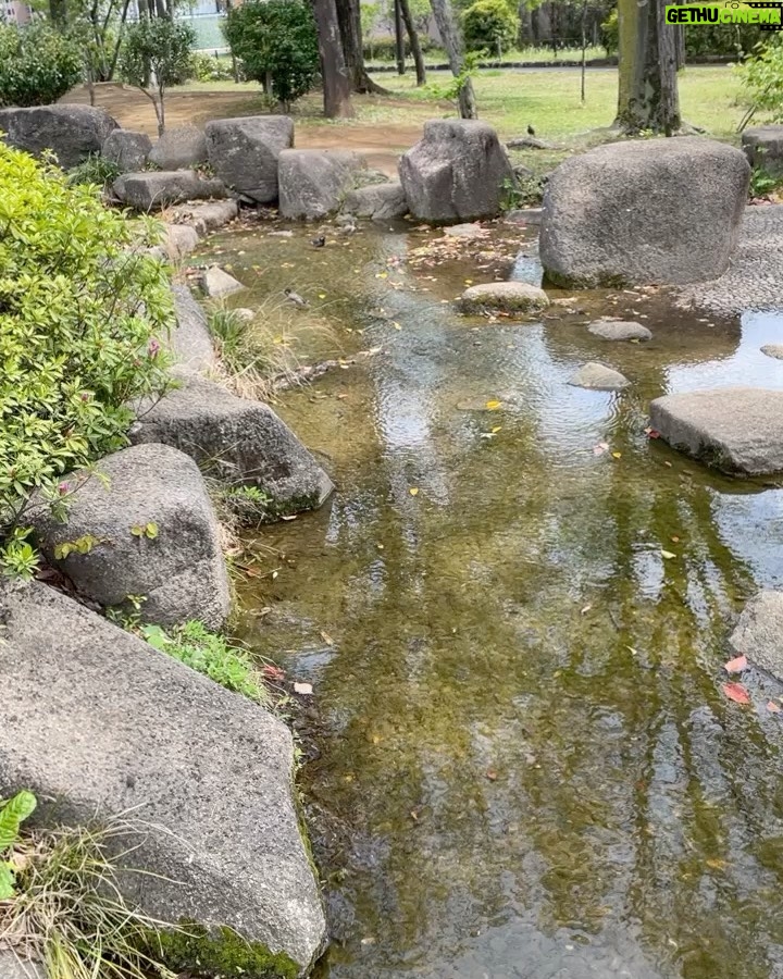 Miyu Kitamuki Instagram - 気まぐれ散歩。 自然の中で本読むのがすっき〜📚 今日は花粉が飛んでるのかずっと鼻がむんずむんず👃 #散歩