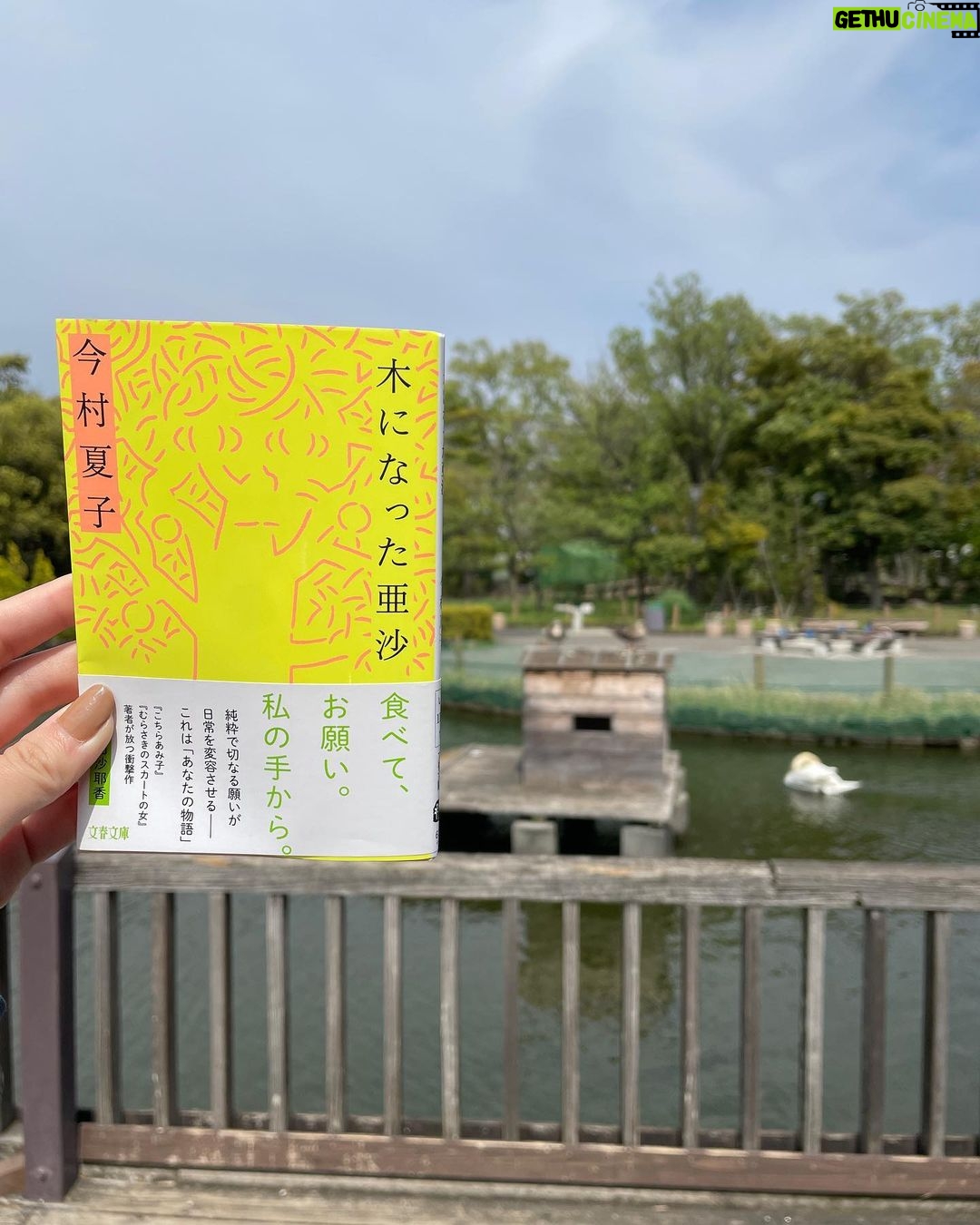 Miyu Kitamuki Instagram - 4/5に文庫本が発売されたので、購入し、読みました。 もともと単行本で読んでいたので知っている内容でしたが、 改めて今村夏子さんが大好きなことを実感。 今村夏子さんが作る世界観も好きだけど、今回の文庫本に収録されている今村夏子さんの日記を読んで、今村夏子さんご本人に魅了されました。 本当に大好き。 解説で村田沙耶香さんが仰っているように、 文庫本として「木になった亜沙」がこの世に存在してくれていることに感謝し、私の手、目、心、日常の一部になってくれたことに感謝します。 #今村夏子 さん #木になった亜沙