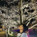 Miyu Kitamuki Instagram - 🌸