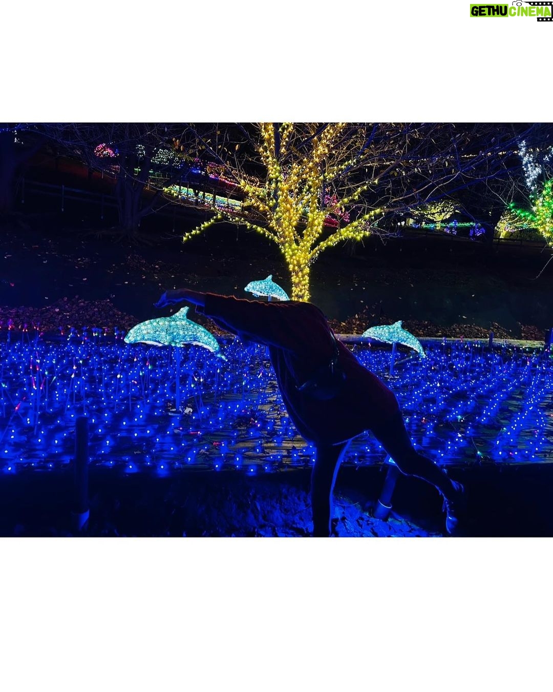 Miyu Kitamuki - 1.7K Likes - クリスマスっぽい写真ないかなーってフォルダを見てたら
先月、母と姉と3人で伊東へ旅行に行った時の写真がありました〜🎄
発売中のモーターサイクリストの撮影で初めて行かせていただいた伊東が、最高だったので家族でも行っちゃいました!
ついでに旅行の思い出載せます✌️
メリークリスマス!!🎅
#イルミネーション
#イルカ
#カピバラ
#どんぐり
#モルモット
#モーターサイクリスト
#撮影で行ったところに家族で行きがち