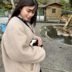 Miyu Kitamuki Instagram - クリスマスっぽい写真ないかなーってフォルダを見てたら 先月、母と姉と3人で伊東へ旅行に行った時の写真がありました〜🎄 発売中のモーターサイクリストの撮影で初めて行かせていただいた伊東が、最高だったので家族でも行っちゃいました！ ついでに旅行の思い出載せます✌️ メリークリスマス！！🎅 #イルミネーション #イルカ #カピバラ #どんぐり #モルモット #モーターサイクリスト #撮影で行ったところに家族で行きがち