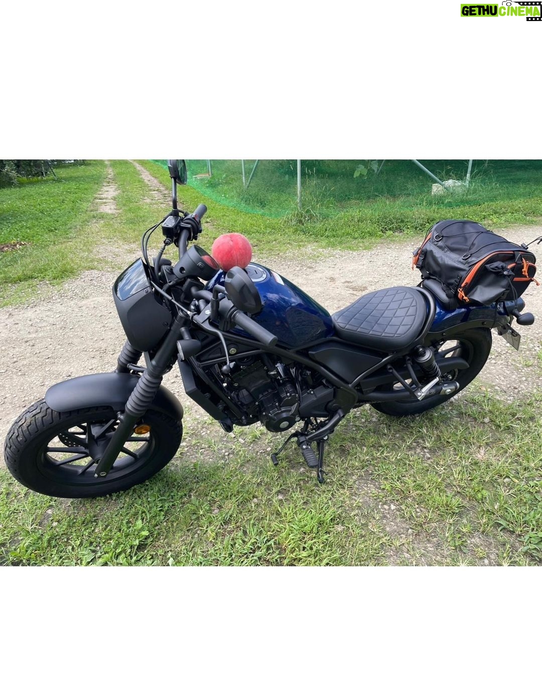 Miyu Kitamuki - 2.1K Likes - 発売中のモーターサイクリスト11月号に掲載していただいてます🏍
今回は福島ツーリングの旅!!
美味しいご飯と温泉とバイクでめっちゃくちゃ楽しかったです!!
これから紅葉も綺麗になってきてツーリングにぴったりな季節になるので是非みなさんチェックしてください👀
しかも今回のバイクは免許取る時から憧れていたレブル250に乗らせていただきました!
乗り心地も最高でただただ幸せでした😳
#レブル250