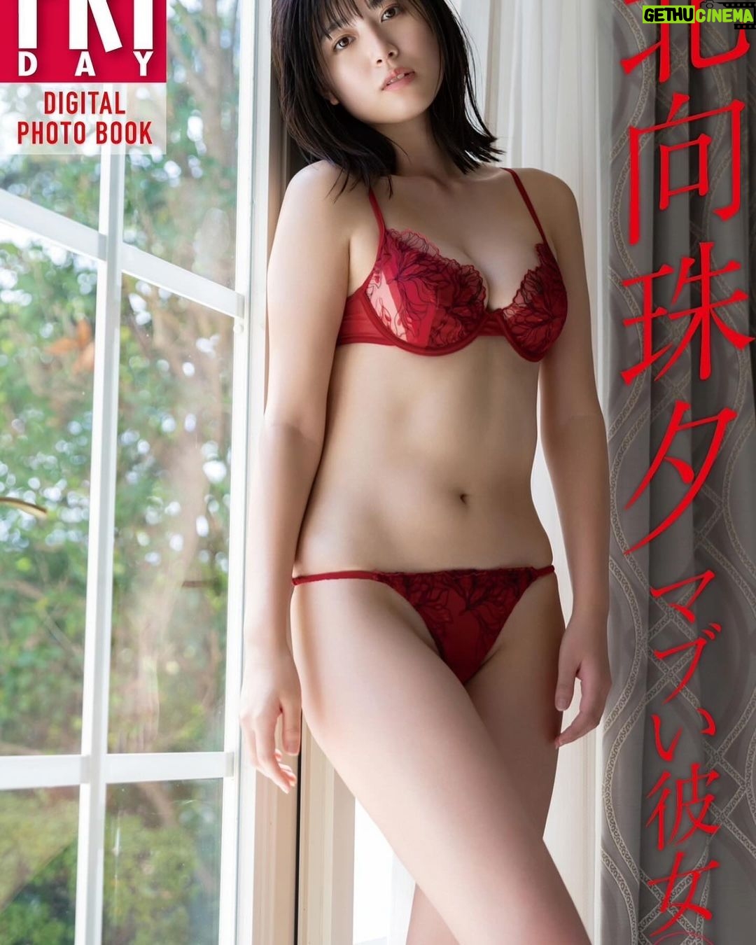 Miyu Kitamuki - 2.6K Likes - 発売中のFRIDAYをご覧になっていただき、ありがとうございます!
たくさんコメントをいただけて嬉しいです😊
なんと、発売と同時にデジタル写真集「マブイ彼女」vol.1、vol.2、vol.3をリリースさせていただきました、、!
段々とサブくなってきたこの頃ですが、「マブイ彼女」を見て温かくなっていただきたいです!
#変なダジャレやめて#ダジャレにもなってない #お手柔らかに🙏