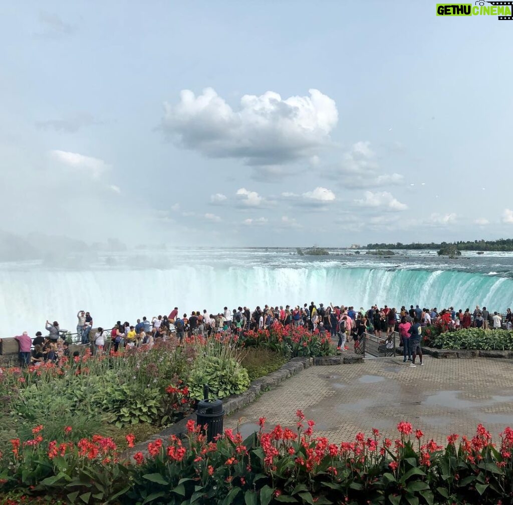 Mohammad Shayesteh Instagram - City of Niagara Falls, Canada - Government