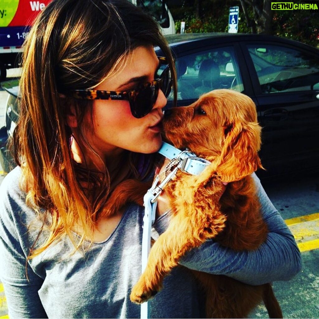 Molly Tarlov Instagram - It’s my angel’s birthday today. This is my Fran. She’s four. Every time we meet someone on the street they ask if she’s a puppy cause she’s a wild as hell. Sometimes I say yes because it’s less embarrassing. She is my best friend. She has taught me so much and I cried saying happy birthday to her last night. Thanks for always looking me in the eyes when you yell at me. I originally wanted to name a daughter Franny if I ever had one (mix between Franny Glass and Fanny Bryce) and she was supposed to be named Vivian. She did not act like a Vivian. Then her name was Buffy but she didn’t act like a Buffy either—so on day 4 she became Francesca (Frances) Buffy Tarlov. And Le Fran became legend.
