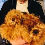 Molly Tarlov Instagram - Isn’t it funny how everyone thinks they love their dog more than any human has ever loved a dog before? #goldendoodle