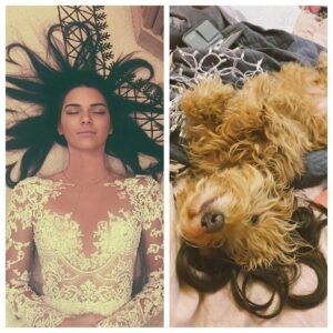 Molly Tarlov Instagram - I love my dog but honestly, she’s always a couple years behind the trends.