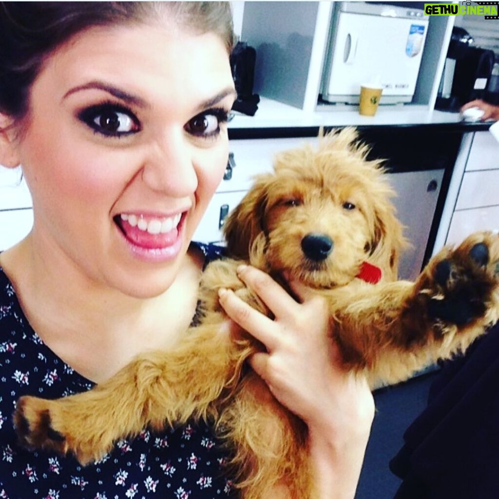 Molly Tarlov Instagram - It’s my angel’s birthday today. This is my Fran. She’s four. Every time we meet someone on the street they ask if she’s a puppy cause she’s a wild as hell. Sometimes I say yes because it’s less embarrassing. She is my best friend. She has taught me so much and I cried saying happy birthday to her last night. Thanks for always looking me in the eyes when you yell at me. I originally wanted to name a daughter Franny if I ever had one (mix between Franny Glass and Fanny Bryce) and she was supposed to be named Vivian. She did not act like a Vivian. Then her name was Buffy but she didn’t act like a Buffy either—so on day 4 she became Francesca (Frances) Buffy Tarlov. And Le Fran became legend.