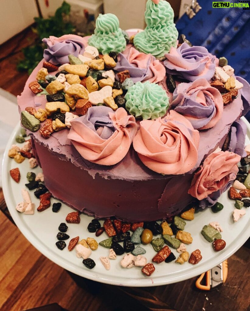 Molly Tarlov Instagram - Do you guys give an ish about the 🌵 desert scape cake I made for @jillianrosereed? I need to work on my cake picture taking. Tips??? #cakedecorating #nailedit also—I make everything from scratch but damn, you have to make so much buttercream!!!