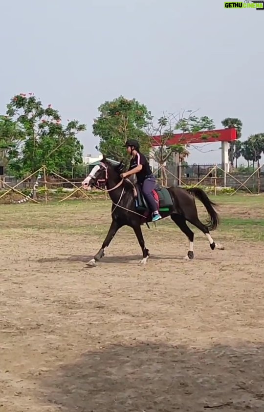 Monisha Vijay Instagram - Back to ride🏇 . . #horseriding #horserider #horseriders #horsepower #horselover #horseracing #horseofinstagram #horsetraining #horseoftheday #horsebackriding #horseridinggirl #girlhorserider #horseridingwomen #girlpower #superwoman #womanpower