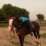 Monisha Vijay Instagram - Best friend in this world who carries, loves and never betrays💕 . . #horseriders #horse #horses #horsesofinstagram #horseriders #horseriding #horseridinggirl #horseracing #horseoftheday #horseridingwomen #horsebackriding #horselover #instahorse #horsepower #horsephoto #instagood #instapic