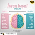 Murat Eken Instagram - #Repost @bulentbeyinhikayesi with @get_repost ・・・ 🧠 Siz hangi tarafı daha çok kullanıyorsunuz? 😂 #bülentbeyinhikayesi