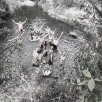 Nabiyah Be Instagram - I went outside Where I could find A lovely tribe I could call mine @espiraldavida8