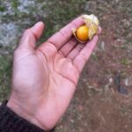 Nabiyah Be Instagram – The face of nutrition. Been home for almost two months and as it always goes, there have been more moments in full presence than photos at hand. All I know is that hope is a muscle and that there are always hidden gems ready to be found in our motherland. Eu mesma, só agradeço. Brasil