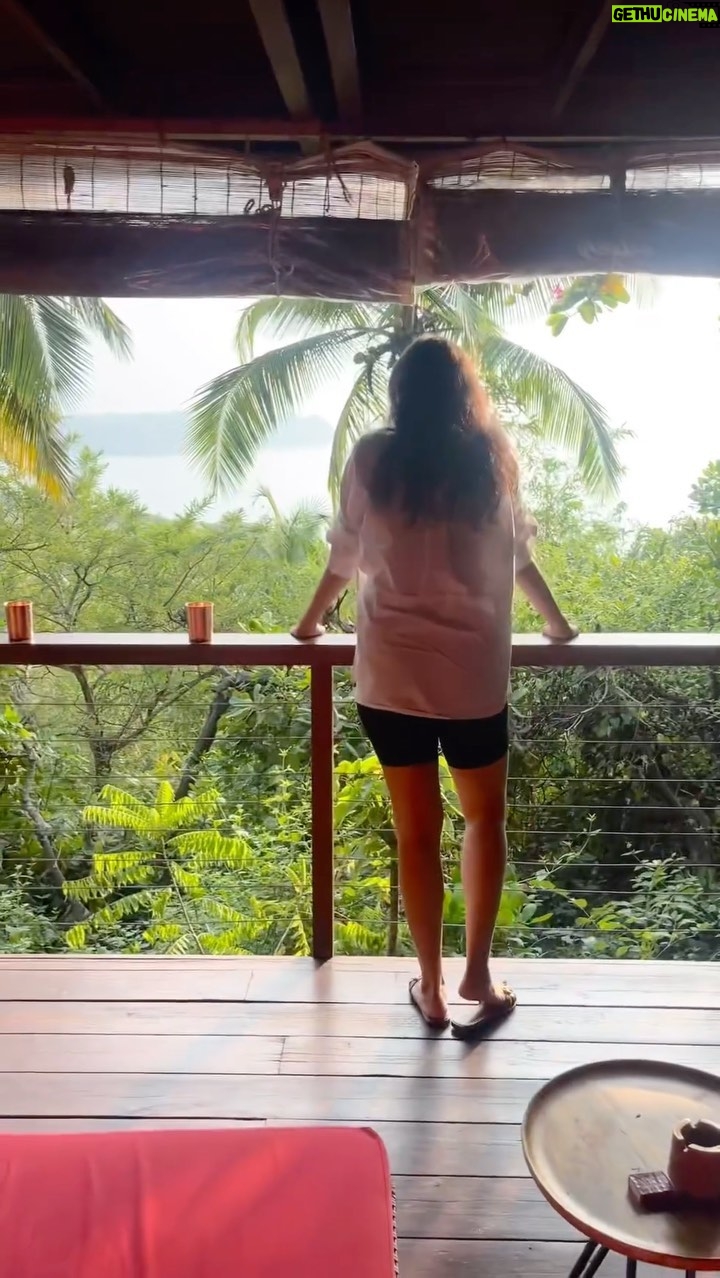 Namita Dubey Instagram - As the only human who prefers summertime >>>winter all year long- I wish the sun, light and lush upon us all in 2024 ☀️