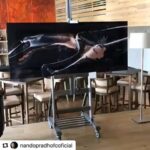 Nando Pradho Instagram - Vídeo que mandei pro FC mostrando minha exposição em Puebla, antes de vir pra Europa.. @nandopradhofcoficial Bjs @silvanarosa_ @hotelcartesiano #arte #abstractart #contemporaryart #exhibition #exposição #puebla #design #artistaplastico #art Mexico