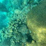Narendra Modi Instagram - For those who wish to embrace the adventurer in them, Lakshadweep has to be on your list. During my stay, I also tried snorkelling - what an exhilarating experience it was! 🤿