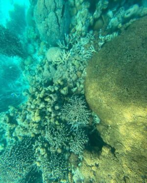 Narendra Modi Instagram - For those who wish to embrace the adventurer in them, Lakshadweep has to be on your list.

During my stay, I also tried snorkelling - what an exhilarating experience it was! 🤿
