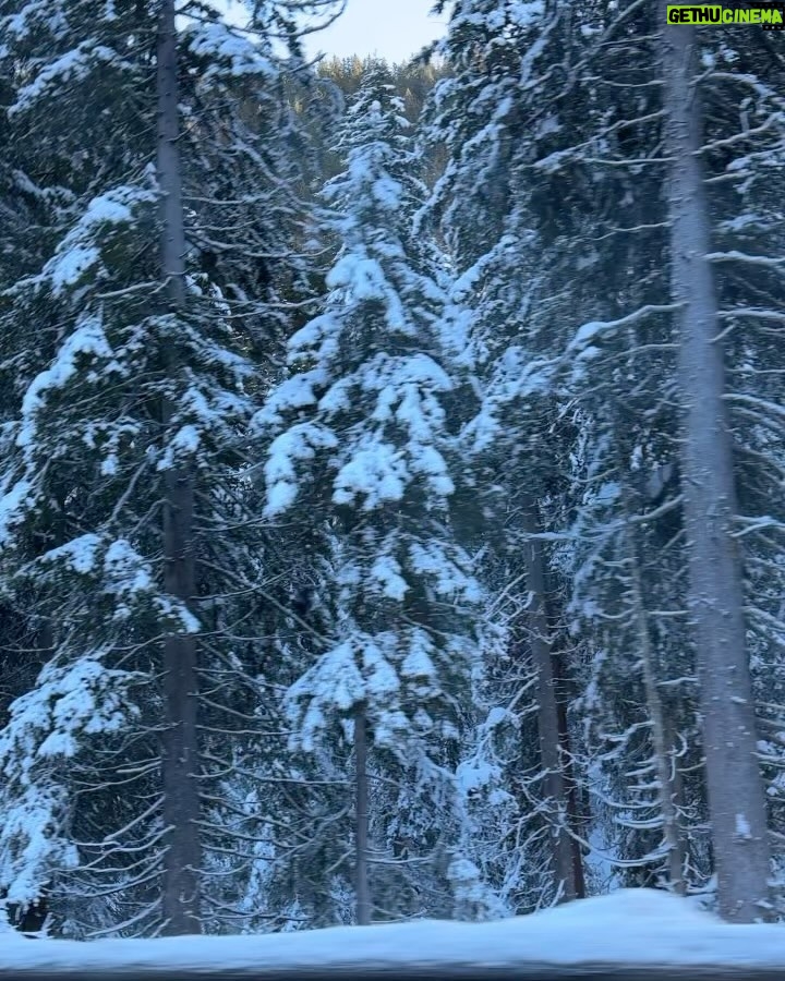 Nargis Fakhri Instagram - I asked Santa for Snow ⛄️ ❄️ 🎅 🎄 December 2023. Switzerland