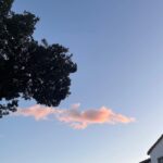 Natalee Linez Instagram - a compilation minus any complications Los Angeles, California