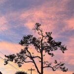 Natalee Linez Instagram - I decided to put influencer on my list of to-do’s Los Angeles, California