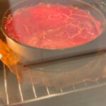 Natalia Germani Instagram - Na náš nový sladký recept v spolupráci s kuchynskou značkou MORA, ktorej spotrebiče nám dennodenne uľahčujú život a spríjemňujú varenie potrebujete: - Zunu ( ale môže byť namiesto nej pokojne aj vaše dieťa😂) - Ovsené vločky - Jačmenné vločky - Mlieko plnotučné - Banán - Med - Tvaroh (na vás aký) - Kyslú smotanu - Jahody Celý postup nájdete vo videu, kde sa v hlavnej úlohe predstaví skúsenosťami ošlahaná cukrárka Zuna. Všetko šlo žiaľ podľa jej odhadu namiesto gramáže. Spravte si teda intenzitu sladkého, jahodového, či banánového podľa seba. Keď všetko vzniklo, šupli sme jahodový cheesecake do rúry Mora opäť odhadom na 260 stupňov na 28 minút. Následne nechali vychladnúť a šupli do chladničky počas noci. Na raňajky tato zjedol 1/3 koláča. Škoda, že som to nenatočila. A pozor! Je veľmi zdravý, aj to cítiť 😝🙂 Ešte treba spomenúť, že k nákupu môjho setu 3 spotrebičov @mora_sr - rúry, varnej dosky a umývačky, dostanete 8-dielnu perfektnú sadu nerezového riadu v hodnotě 199 € zdarma. Akcia platí do 15.12. a viac informacií nájdete na webe mora.sk. A teraz už dobrú chuť! ❤️
