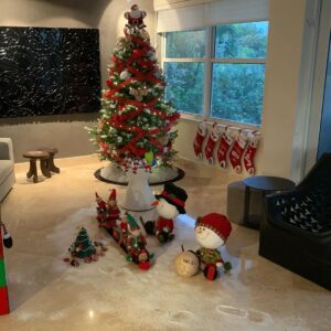 Natalia Streignard Instagram - Y llego la navidad y con ella los tan esperados elf... jajajjajjajj a ver con que me salen en estos dias!!! Bendiciones a todos❤️❤️❤️