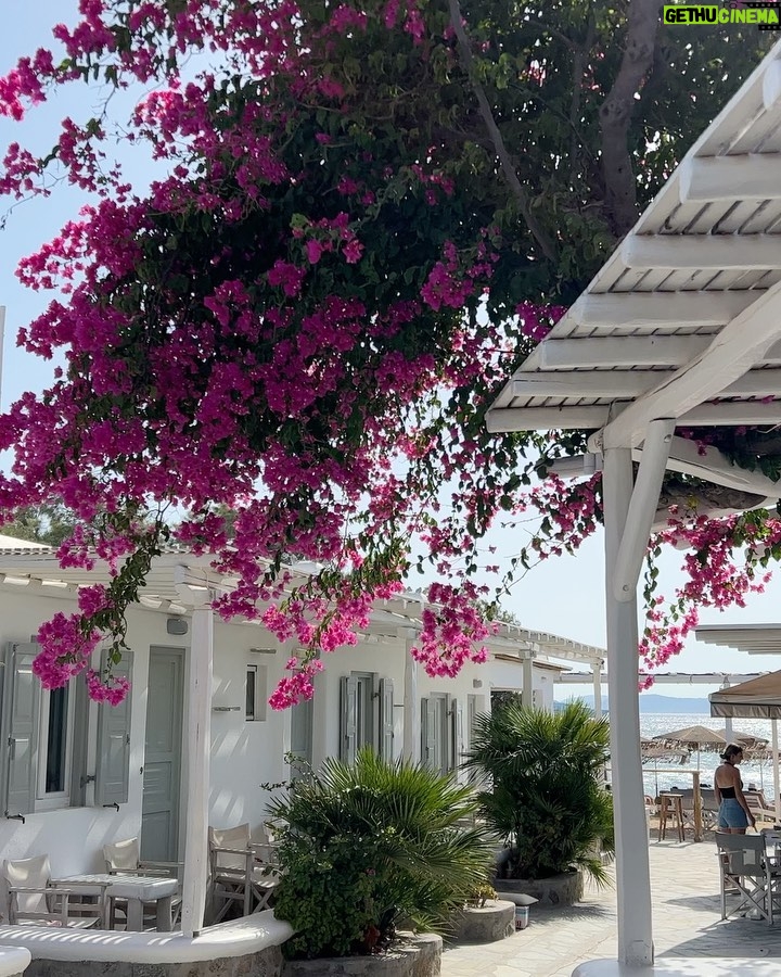 Natalie Negrotti Instagram - Beach days are my fave π«ΆβοΈπ Mykonos, Greece