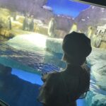 Natsumi Maki Instagram - 水族館って楽しいね🦈🫧 #海遊館 #プロレスラーの休日 #こんな彼女はどうですか #natsupoi #なつぽい