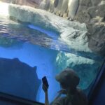 Natsumi Maki Instagram - 水族館って楽しいね🦈🫧 #海遊館 #プロレスラーの休日 #こんな彼女はどうですか #natsupoi #なつぽい